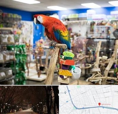 فروشگاه لوازم پرندگان در ابوریحان تبریز