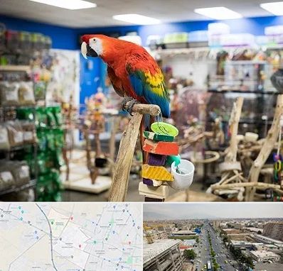 فروشگاه لوازم پرندگان در حصارک کرج