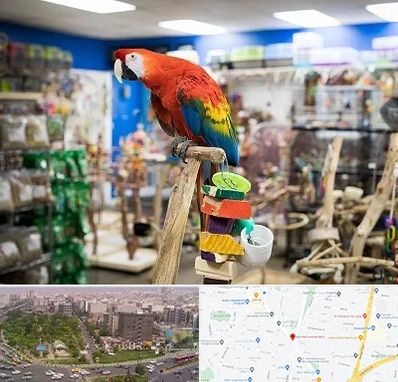 فروشگاه لوازم پرندگان در آیت الله کاشانی