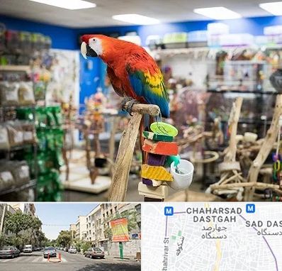 فروشگاه لوازم پرندگان در چهارصد دستگاه