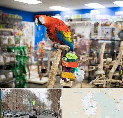 فروشگاه لوازم پرندگان در نظرآباد کرج