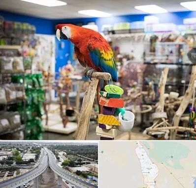 فروشگاه لوازم پرندگان در اندیمشک