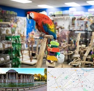 فروشگاه لوازم پرندگان در عفیف آباد شیراز