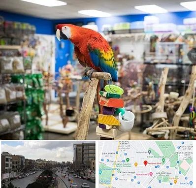 فروشگاه لوازم پرندگان در بلوار فردوسی مشهد