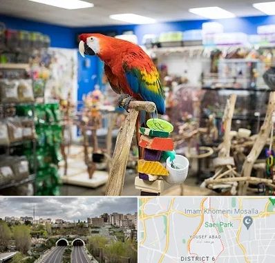 فروشگاه لوازم پرندگان در یوسف آباد 