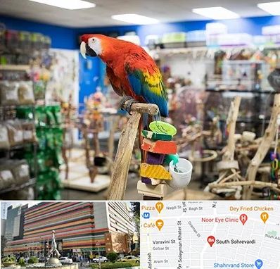 فروشگاه لوازم پرندگان در سهروردی