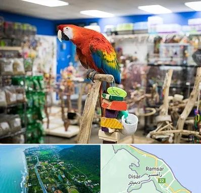 فروشگاه لوازم پرندگان در رامسر
