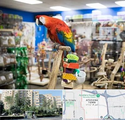 فروشگاه لوازم پرندگان در آپادانا