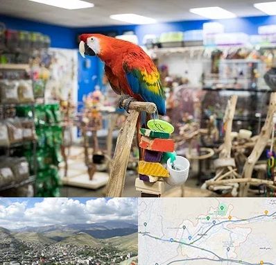 فروشگاه لوازم پرندگان در رودهن