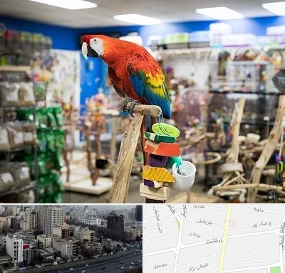 فروشگاه لوازم پرندگان در زرتشت