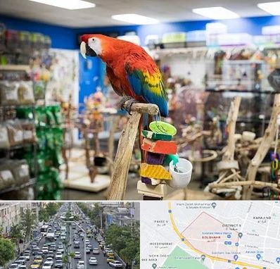 فروشگاه لوازم پرندگان در گلشهر کرج