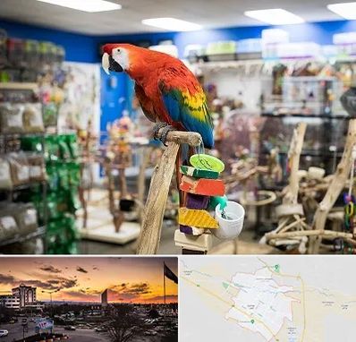 فروشگاه لوازم پرندگان در قوچان