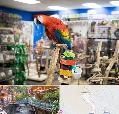 فروشگاه لوازم پرندگان در درکه