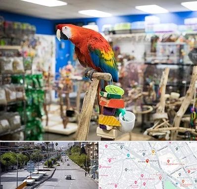 فروشگاه لوازم پرندگان در خیابان زند شیراز