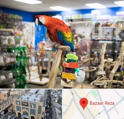 فروشگاه لوازم پرندگان در بازار رضا مشهد