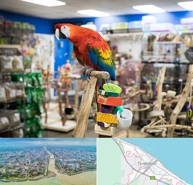 فروشگاه لوازم پرندگان در تنکابن