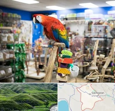 فروشگاه لوازم پرندگان در گچساران