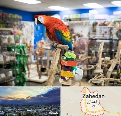 فروشگاه لوازم پرندگان در زاهدان
