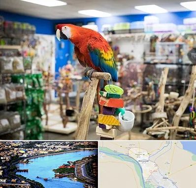 فروشگاه لوازم پرندگان در خرمشهر