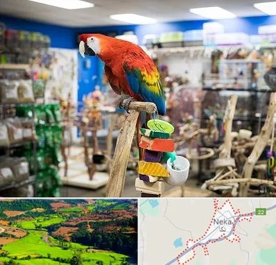 فروشگاه لوازم پرندگان در نکا