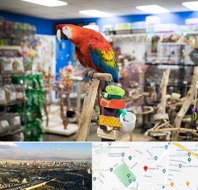 فروشگاه لوازم پرندگان در هنگام