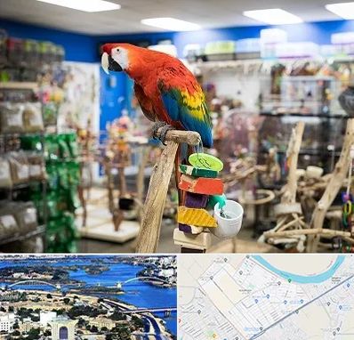 فروشگاه لوازم پرندگان در کوروش اهواز