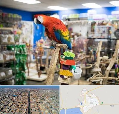 فروشگاه لوازم پرندگان در بندر ماهشهر