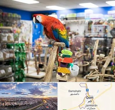 فروشگاه لوازم پرندگان در قم