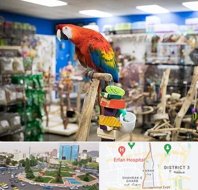 فروشگاه لوازم پرندگان در ونک 