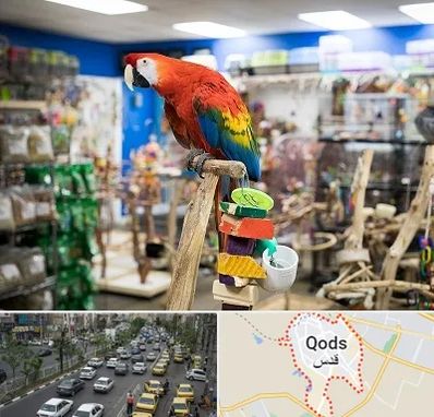 فروشگاه لوازم پرندگان در شهر قدس