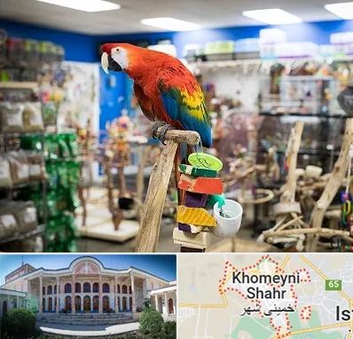 فروشگاه لوازم پرندگان در خمینی شهر