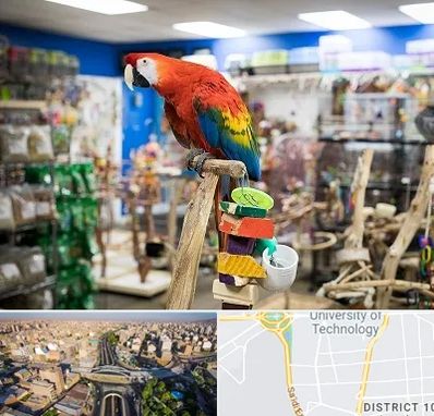 فروشگاه لوازم پرندگان در استاد معین 