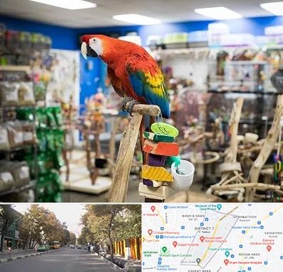 فروشگاه لوازم پرندگان در شریعتی