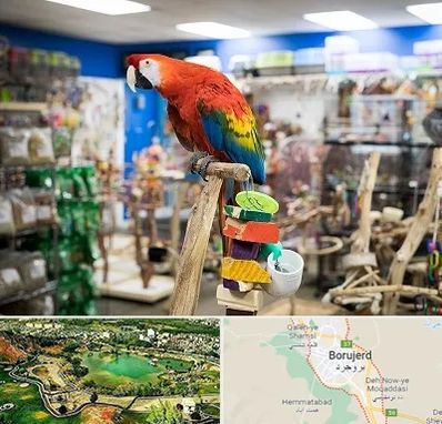 فروشگاه لوازم پرندگان در بروجرد