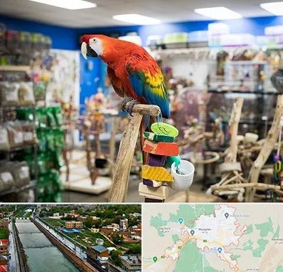 فروشگاه لوازم پرندگان در مراغه