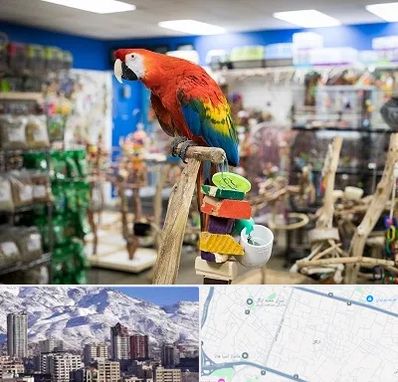 فروشگاه لوازم پرندگان در ازگل