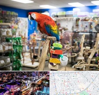 فروشگاه لوازم پرندگان در منظریه رشت