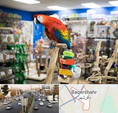 فروشگاه لوازم پرندگان در باقرشهر