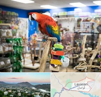 فروشگاه لوازم پرندگان در لواسان