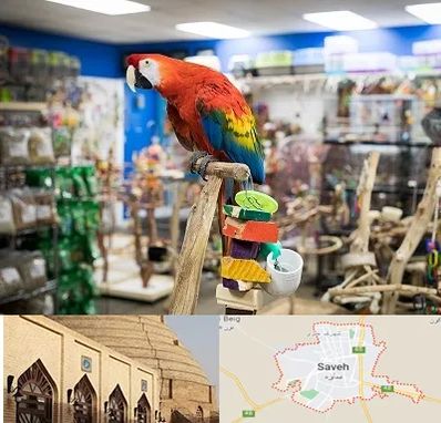 فروشگاه لوازم پرندگان در ساوه