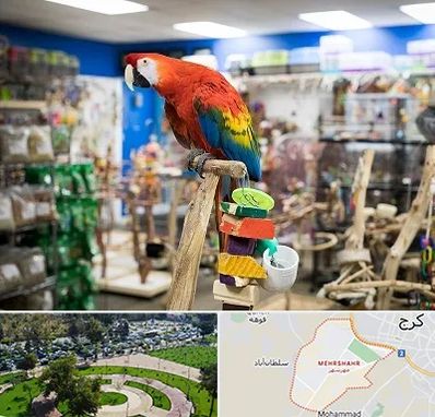فروشگاه لوازم پرندگان در مهرشهر کرج