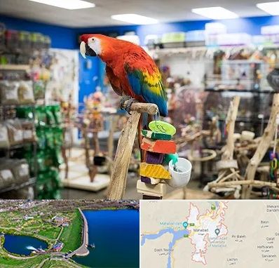 فروشگاه لوازم پرندگان در مهاباد