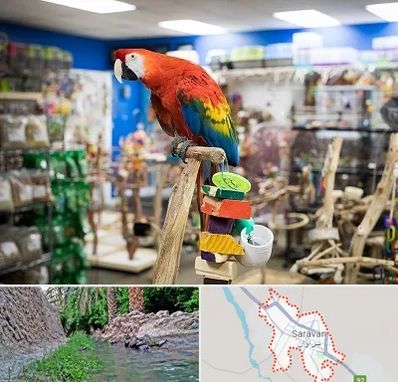 فروشگاه لوازم پرندگان در سراوان