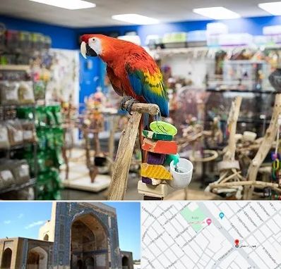 فروشگاه لوازم پرندگان در مصلی مشهد