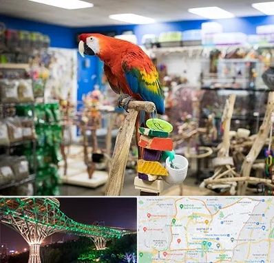 فروشگاه لوازم پرندگان در منطقه 3 تهران