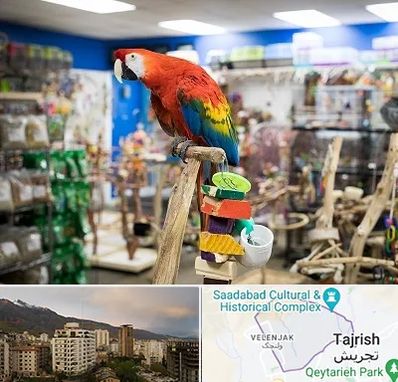 فروشگاه لوازم پرندگان در زعفرانیه