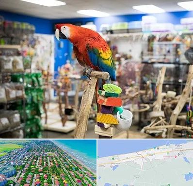 فروشگاه لوازم پرندگان در فریدونکنار