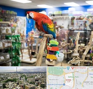 فروشگاه لوازم پرندگان در گیشا