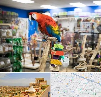 فروشگاه لوازم پرندگان در هاشمیه مشهد