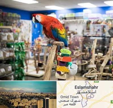 فروشگاه لوازم پرندگان در اسلامشهر